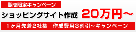ショッピングサイト作成について